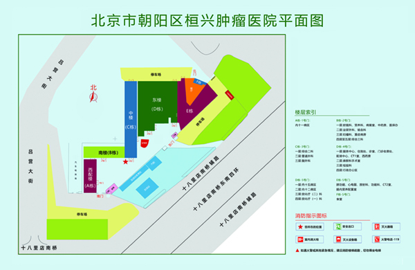 大鸡巴塞满阴道视频北京市朝阳区桓兴肿瘤医院平面图